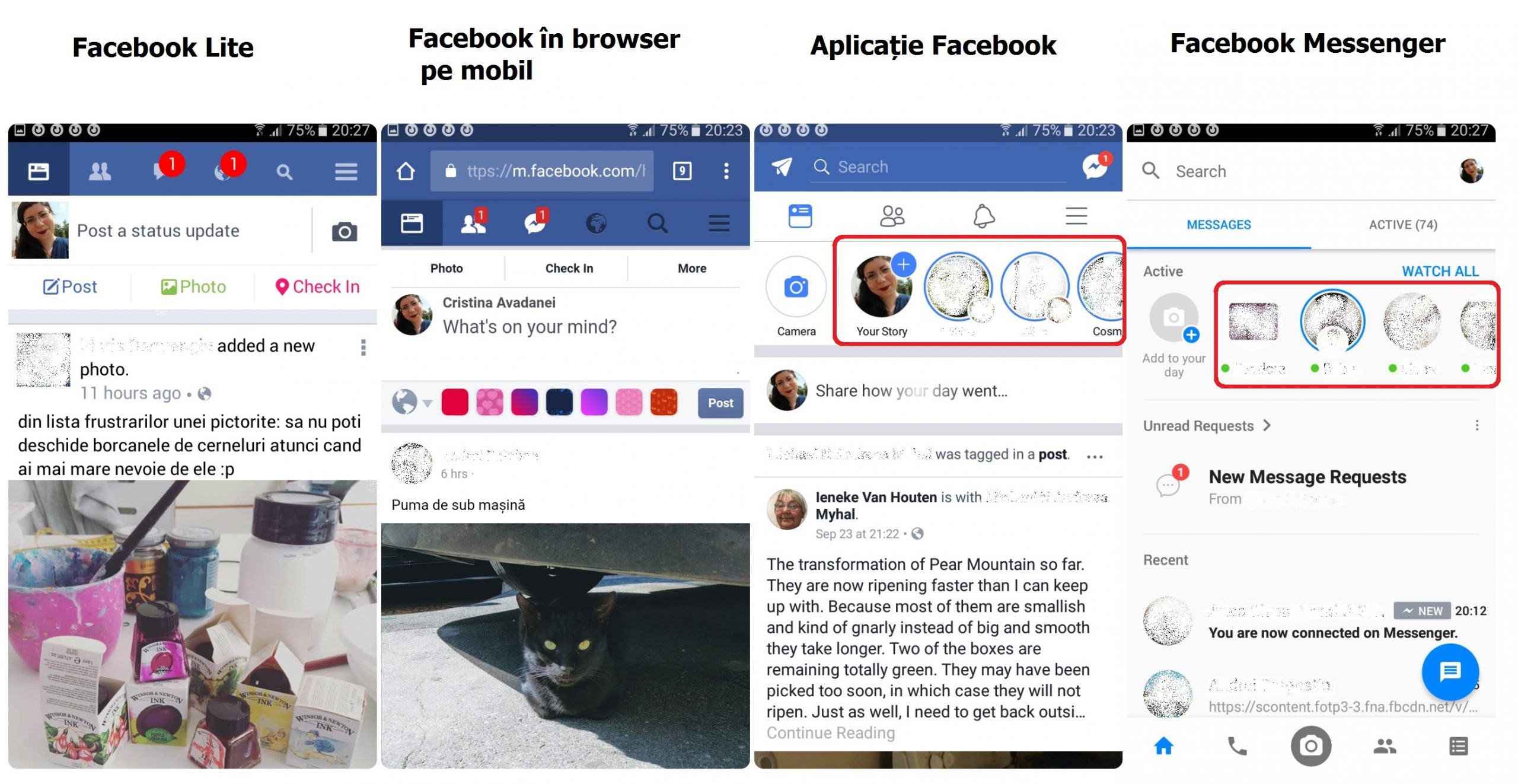 facebook story web