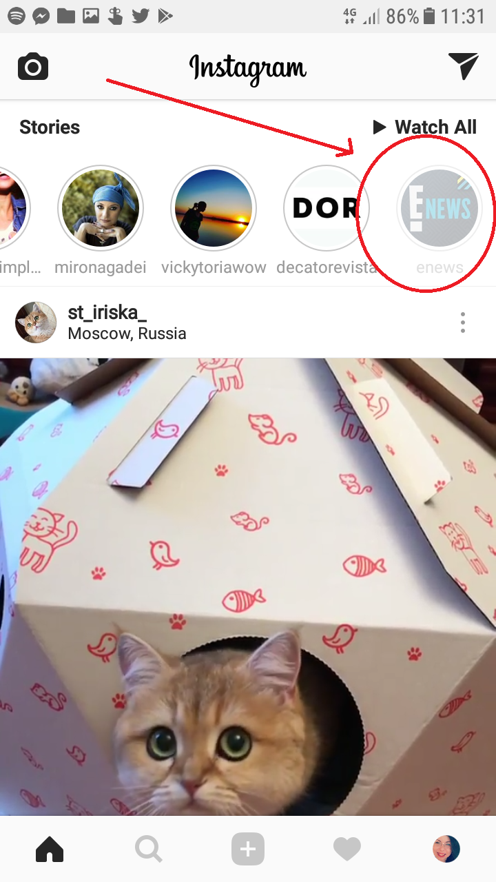 cum dai mute cuiva pe instagram